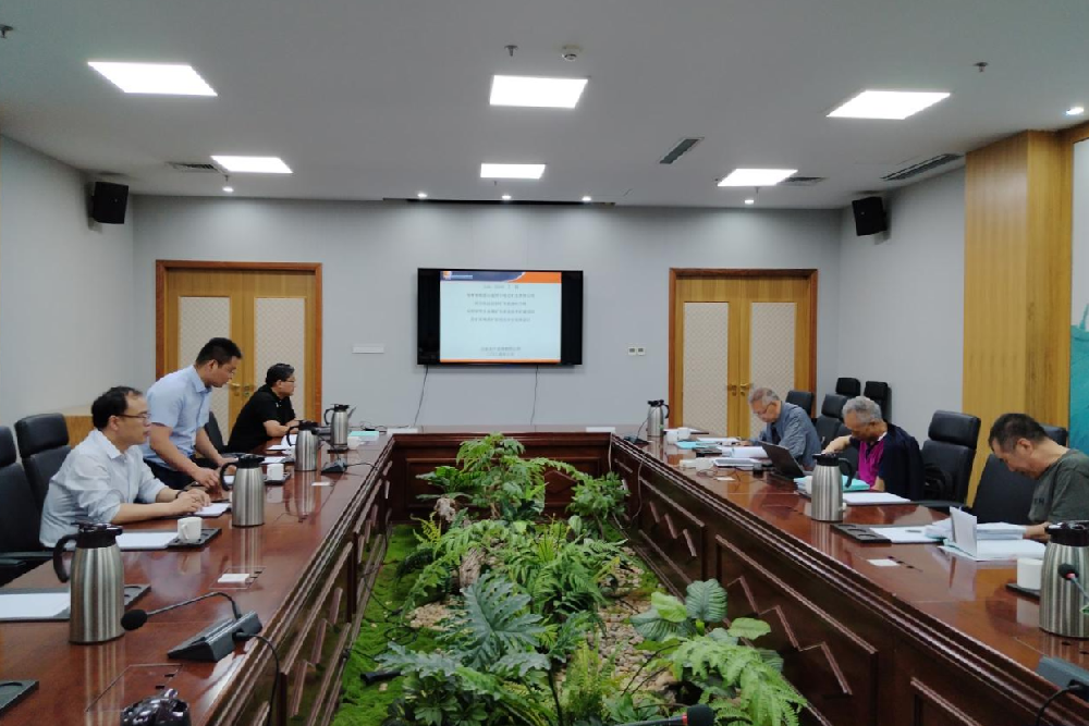 設(shè)計咨詢公司阿爾哈達尾礦庫增高擴容安全設(shè)施設(shè)計通過審查